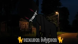 [гача страшилка]🐈кошка мурка🐈