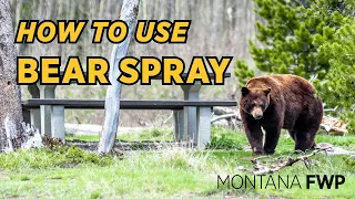 How to use bear spray | Montana Fish, Wildlife & Parks