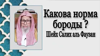 Какова норма бороды? | шейх Салих аль Фаузан