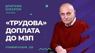 «Трудова» Доплата до МЗП та Форми Оплати Праці | Factor Academy