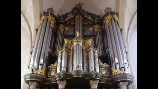 J S  Bach   Toccata, adagio and fugue in C major   BWV 564   Sietze de Vries   Martinikerk Groningen