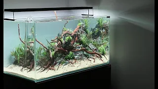 CLASSIC NATURE AQUARIUM TUTORIAL - AQUASCAPING STEP BY STEP