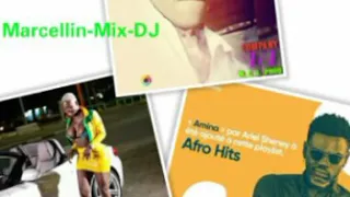 Ariel Sheney   Amina Remix By Marcellin Mix DJ HD 2019