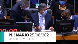 Plenário aprova texto-base de projeto que altera proteção da margem de rios em áreas urbanas - 25/08