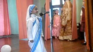 Mother Teresa-fancy Dress