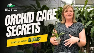 ORCHID CARE SECRETS: MASTER YOUR BLOOMS