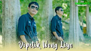 Candra Banyu - Dipetik Wong Liyo (Official Music Video Thalita Music)