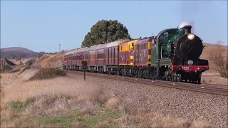 NSW steam locomotives