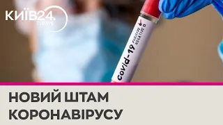 Covid-19 повертається: ВОЗ попереджає про новий штам «Пірола»