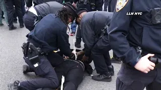 8 Arrested at Palestine Protest / Brooklyn Museum NYC 2.10.24