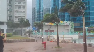 Fierce winds as Typhoon Talim lashes Hong Kong