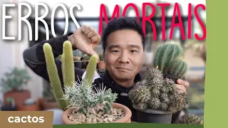 4 Erros MORTAIS para seus CACTOS - E como evitar