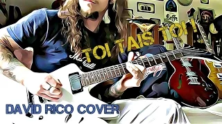 Johnny Hallyday - Toi tais toi - Cover guitar