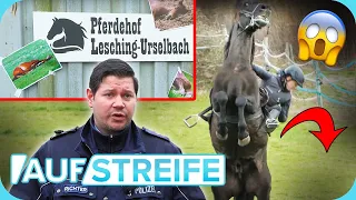 Leben ist kein Ponyhof: Wer hat den gezielten Anschlag auf die Reiterin verübt? | Auf Streife |SAT.1