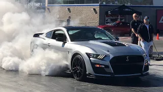 Brutal Mustang Burnout Compilation