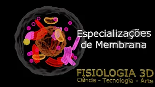 Aula 5 - Especializações da Membrana Plasmática