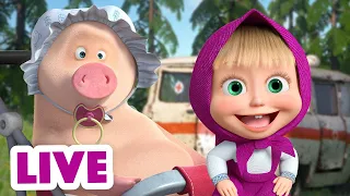 🔴 LIVE 🐻 Masha y el Oso 2023 👶¿Quién es el bebé ahora?🎬 Masha and the Bear