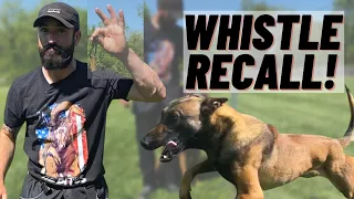 WHISTLE RECALL TRAINING! EVERY DOG SHOULD KNOW THIS!