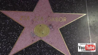 Zsa Zsa Gabor Hollywood Walk Of Fame Star on night of her death