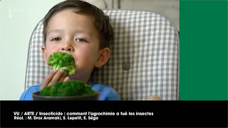 VU du 13/09/23 : Néonicotinoïdes et alimentation