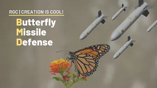 Butterflies Are Stronger than the National Missile Defense System!  |  The BMD  |  Creation is Cool