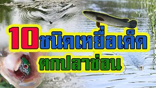 10 อันดับ | เหยื่อปลอมเด็ดๆ | ตกปลาช่อน