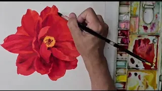 How to paint a peony with watercolor 水彩畫牡丹