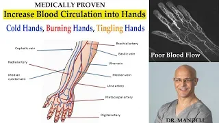 Strategies to Increase Blood Supply to Hands (Cold, Tingling, Numbness in Hands) - Dr. Mandell, DC