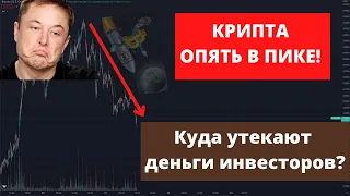 Крипта вновь в пике! Маск продал биткоины, а BlackRock потерял 1.7$ триллиона, куда ушли эти деньги?