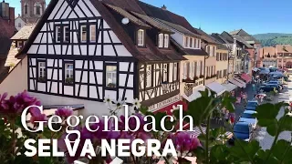 El pueblo mas bonito de la Selva negra  | Schwarzwald | Gegenbach | sdcv