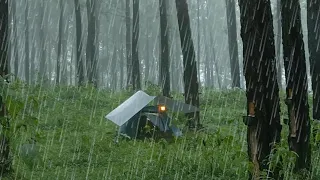 Relaxing Rain Sounds: Rainy Solo Camping Thunderstorm - ASMR