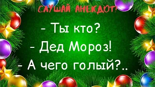 Смешные анекдоты про Новый Год и Деда Мороза. Новогодний юмор / Шутки / Позитив