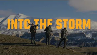 INTO THE STORM | FREE RANGE BISON WITH A BOW