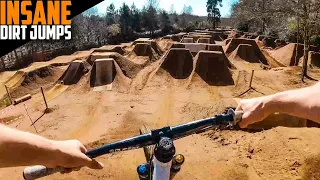 THESE MTB DIRT JUMPS ARE INSANE NOW!! INSTA360 ONE RS