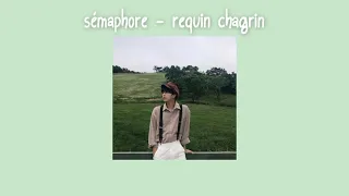 Requin Chagrin - Sémaphore (slowed) + lyrics