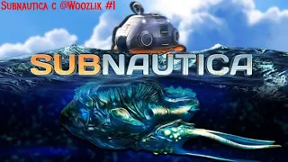 Subnautica с @Woozlik стрим #1. Мы приземлились в окении #Subnautica,#coop