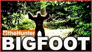 BIGFOOT - theHunter Classic