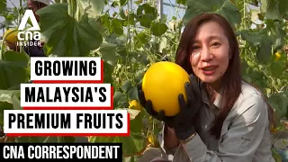 Malaysia's Young Farmers Venture Into Agriculture With Premium Tropical Fruits | CNA Correspondent