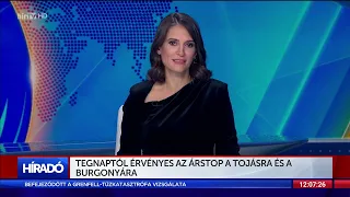 Híradó 12 óra (2022-11-11) - HÍR TV