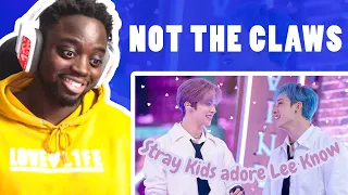 MUSALOVEL1FE Reacts to Stray Kids love Lee know