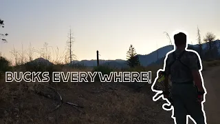 Bucks Everywhere! - California C Zone Opening Day!