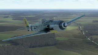 FW190D-9 (IL-2 Battle of Bodenplatte)