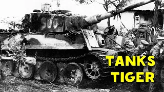 Танковый батальон танки тигр / tiger tanks. Немецкая кинохроника. WW2