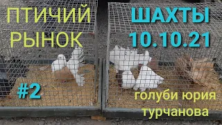 Шахты 10.10.21. Птичий голубинный рынок. Часть 2.