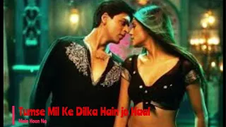 Tumse Milke Dilka Hain Jo Haal | Main Hun Na | Shahrukh Khan | Sushmita Sen