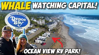 Whale Watching Cruise out of the World's Smallest Harbor! | Sea & Sand RV Park, Depoe Bay, Oregon!