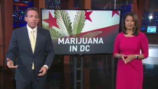 Understanding DC's marijuana law on 4/20