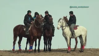 Шардара ауылы Кожамуратовтар аулети Ержан мырзанын елден бата алу той кокпары 29 01 2023