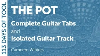 Tool - The Pot - Guitar Cover / Tabs / Isolated Guitar