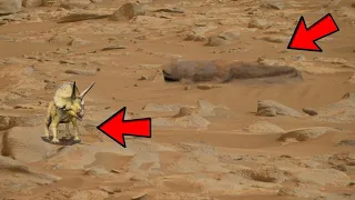 Nasa's Mars Latest Footage By Perseverance Rover | Live Mars Video in 4k | Footage Of Mars